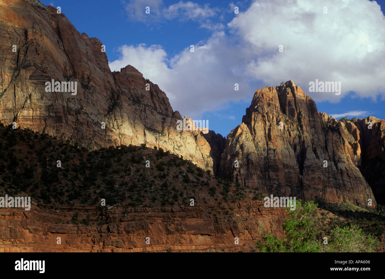 Rock Cliffs at Zion National Park Utah est le résultat de la sédimentation géologique soulèvements de compactage et à travers les âges Banque D'Images