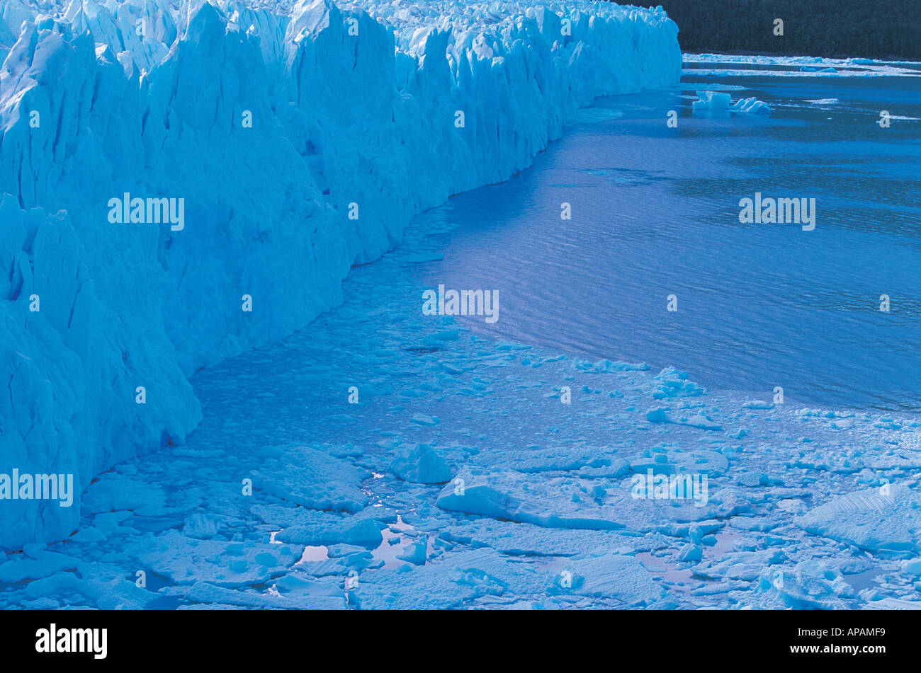 Les icebergs du glacier Perito Moreno Patagonie Argentine Amérique du Sud Banque D'Images