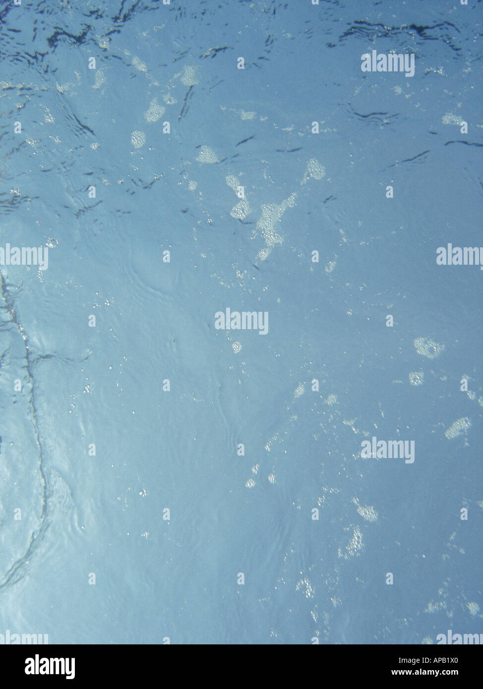 Surface de la mer prises du fond marin Banque D'Images