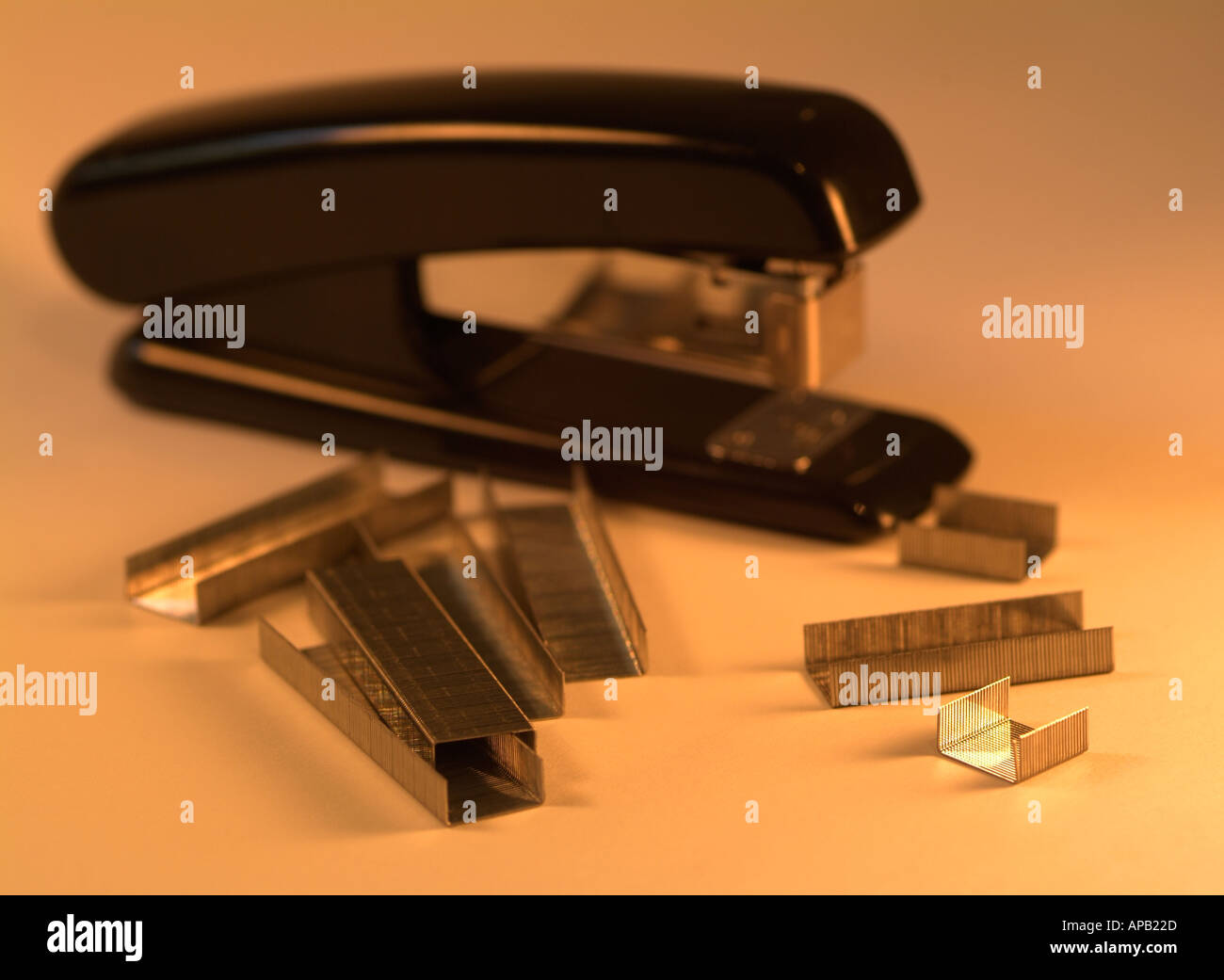 Agrafeuse et agrafes de bureau Banque D'Images