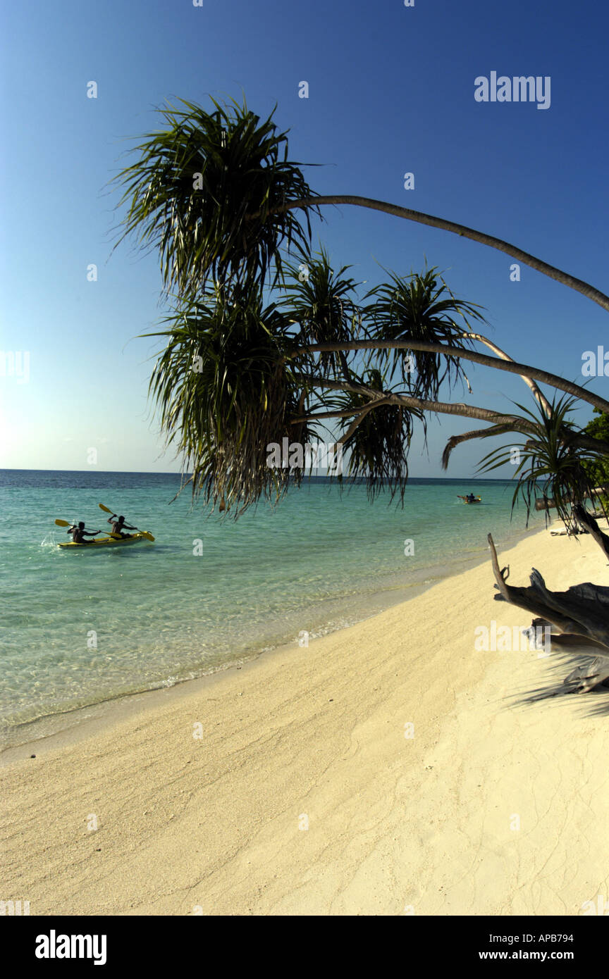 Les kayakistes pagayant passé tropical beach Banque D'Images