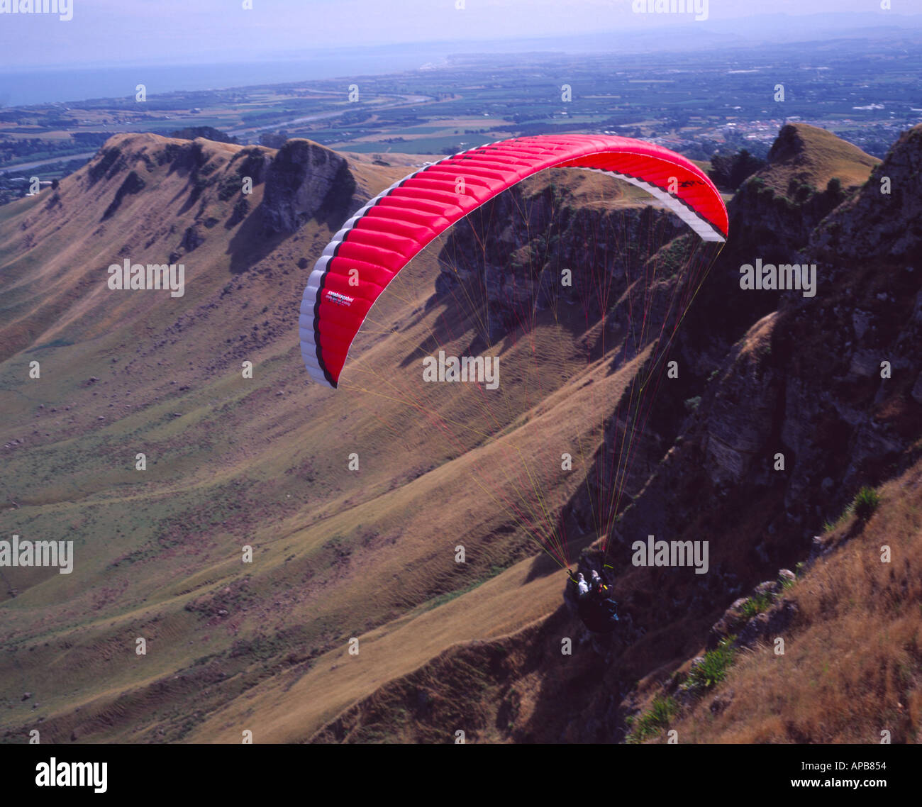 Biplace parapente sur la vallée de tuki à Hawkes Bay de ta mata peak Banque D'Images