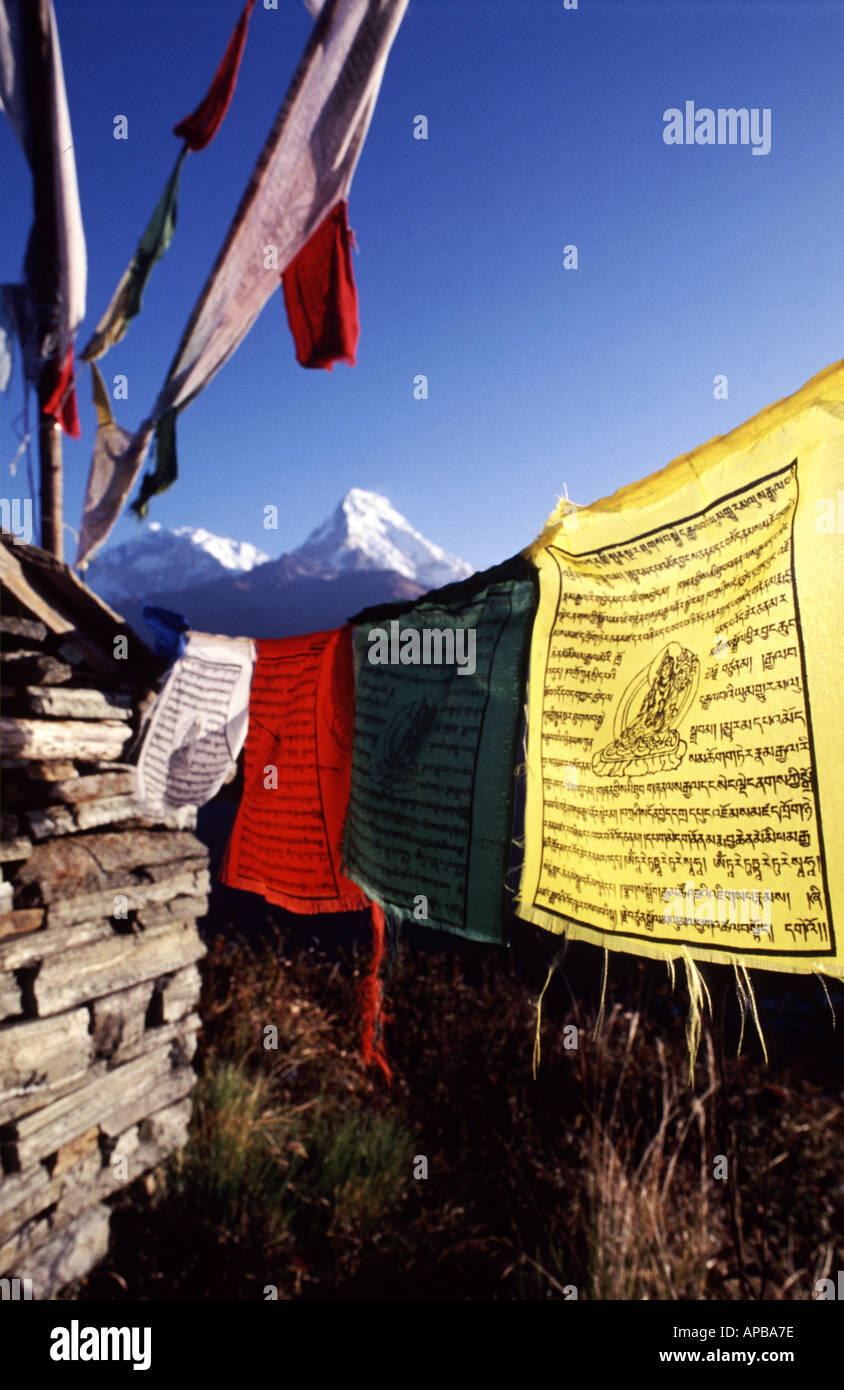 Les drapeaux de prières dans les montagnes de l'himalaya, Népal Banque D'Images