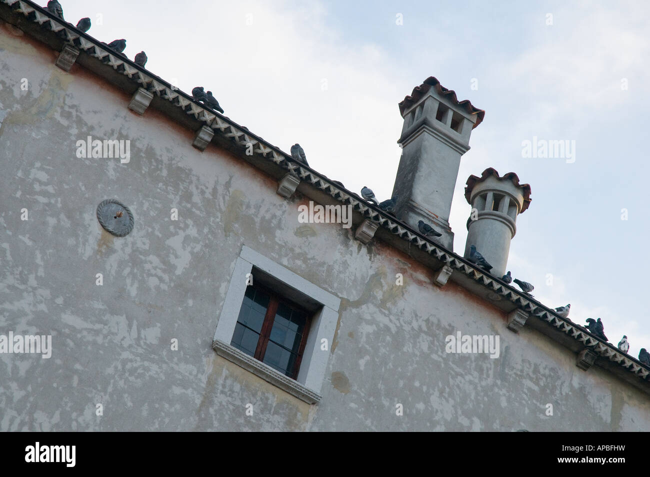 Quelques pigeons sur le toit du palais Antivari-Kechler à Udine (XIX cent.) Banque D'Images