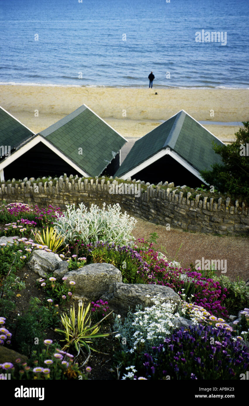 Vue depuis les jardins tropicaux de Bournemouth beach hut toits et figure solitaire sur la plage, la plage de Bournemouth, Dorset Banque D'Images