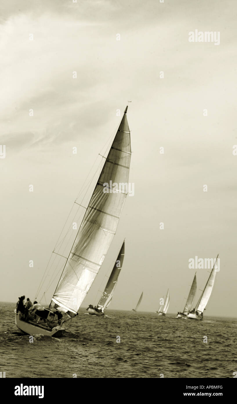 Voiliers de course à la voile en mer calme et vent léger voile Banque D'Images