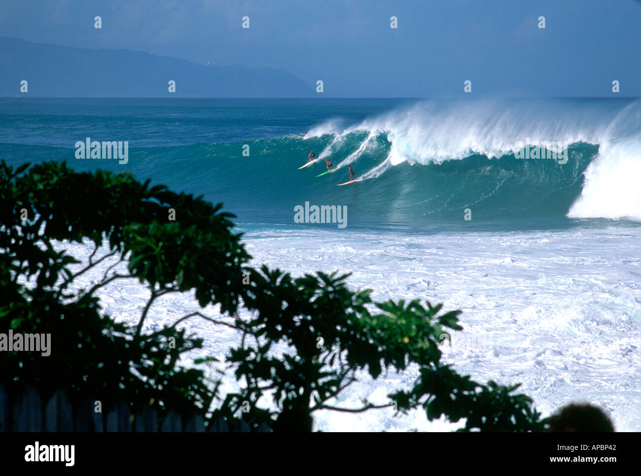 Big Wave Surf vue sur la baie de Waimea, Oahu, Hawaii, USA Banque D'Images