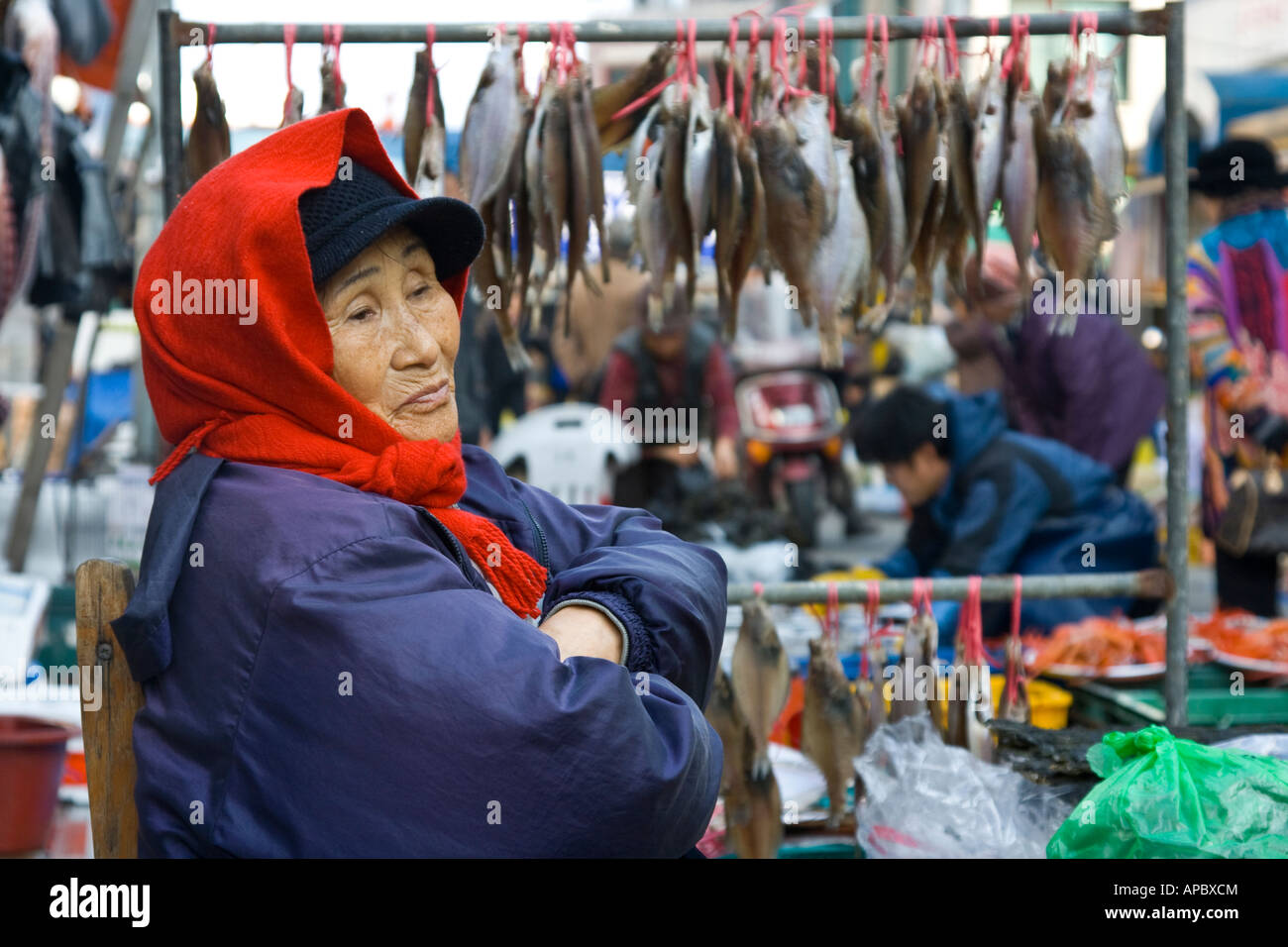 Vieille Femme coréenne vendant du poisson séché de la Corée du Sud Séoul Marché Namdaemun Banque D'Images