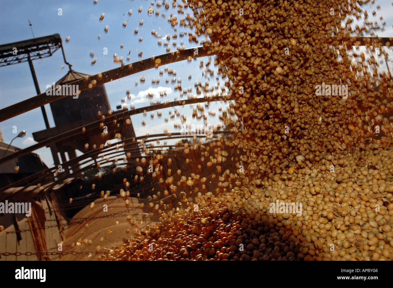 Chargement d'un camion avec des haricots de soja par le 'Companhia de Armazens Silos e do Estado de Minas Gerais' (CASEMG) dans Uberaba Banque D'Images