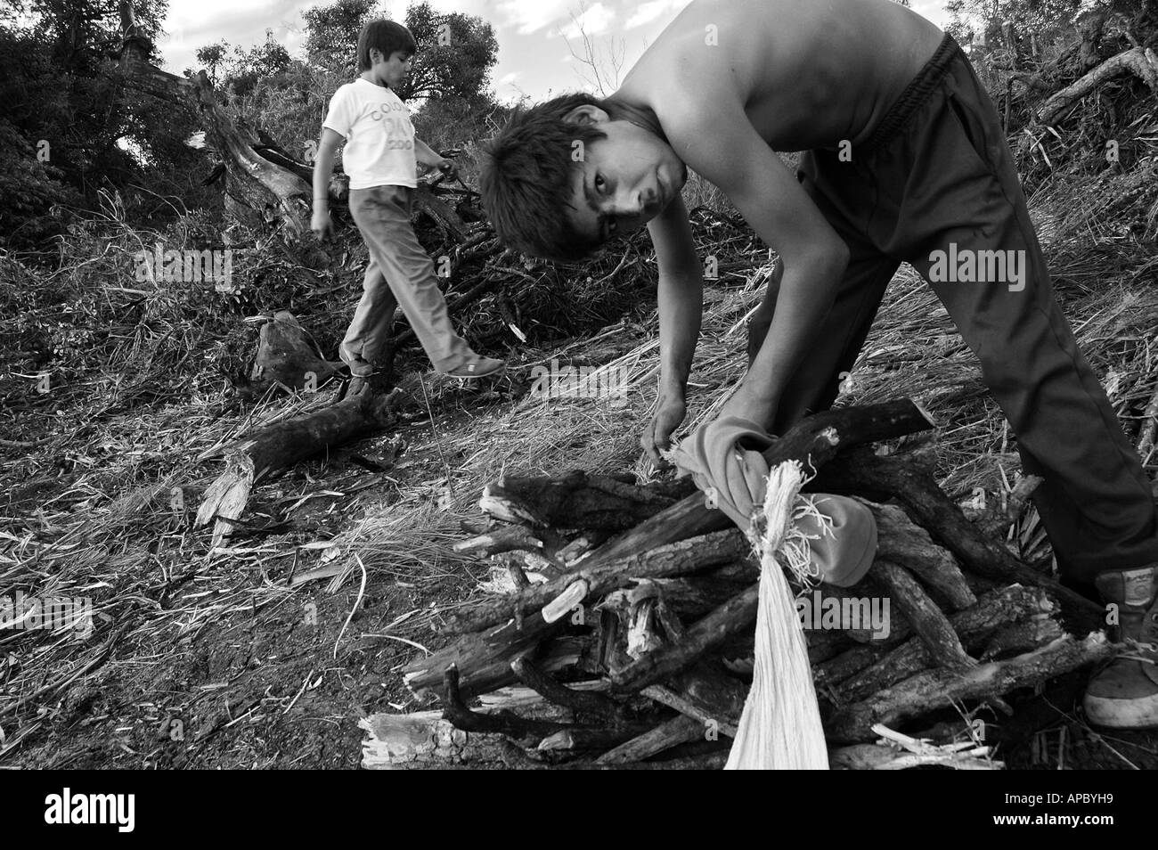 Jose (10 ans ; à droite) et Omar (8 ans) la collecte de bois de feu pour la famille, Mercees, Corrientes, Argentine Banque D'Images