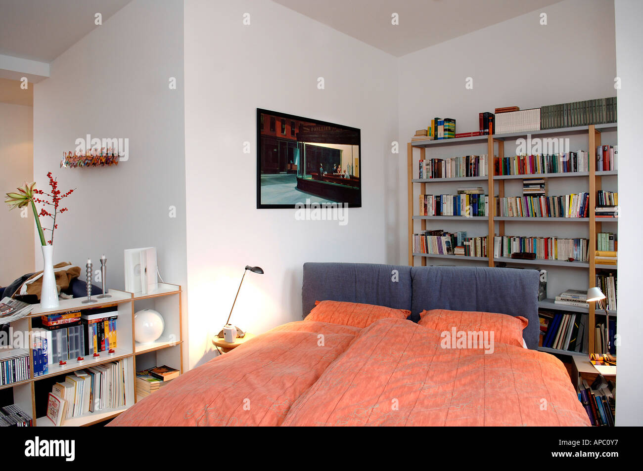 Decay développé grenier logement à Berlin. Chambre avec lit de mariage et des étagères de livres. Banque D'Images
