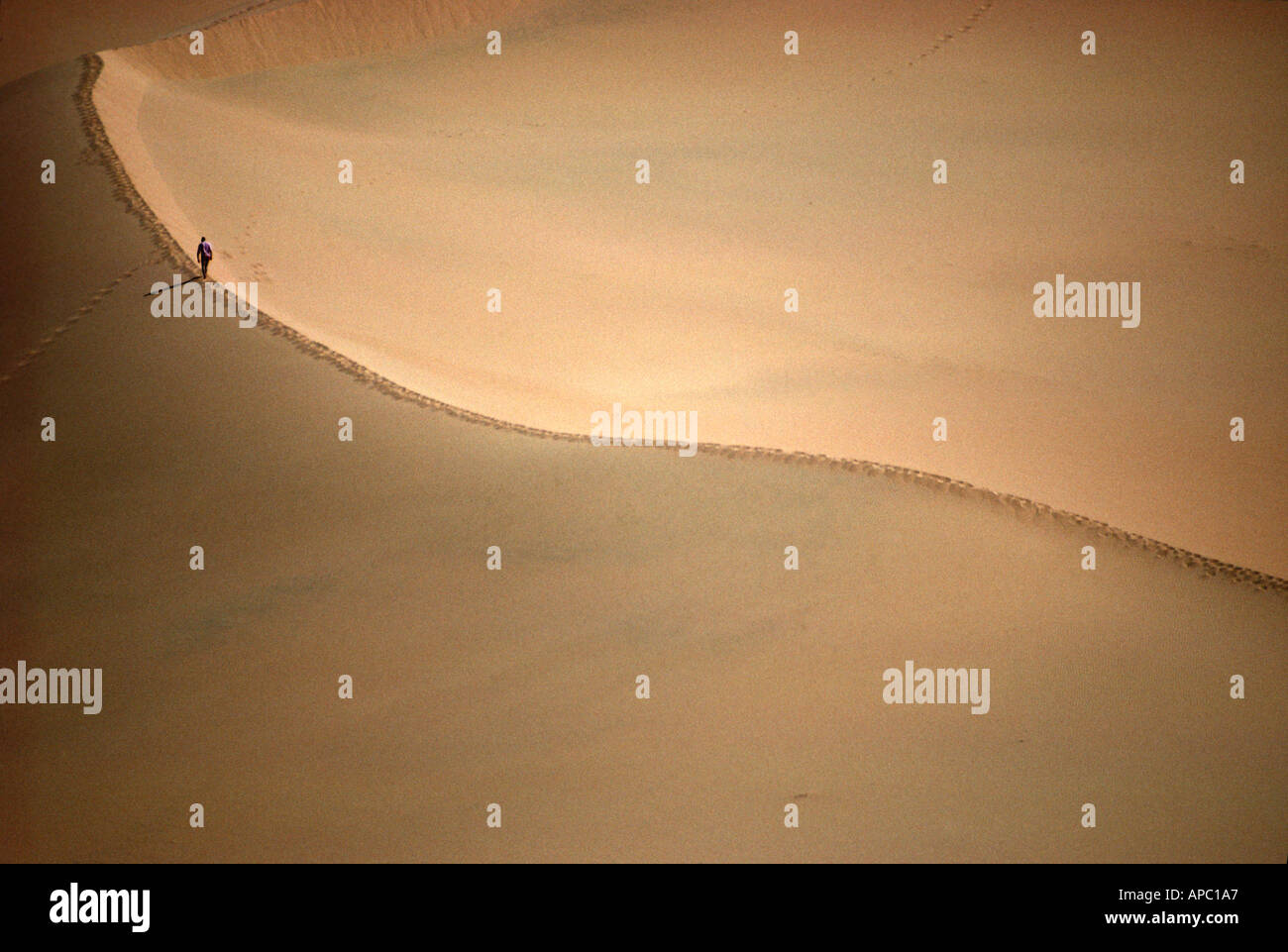 Personne escalade grande dune de sable du désert du Sahara Afrique Algérie Banque D'Images
