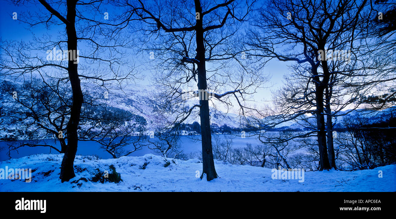 Arbres d'hiver bleu dans la neige vue panoramique du lac ullswater cumbria england uk Banque D'Images