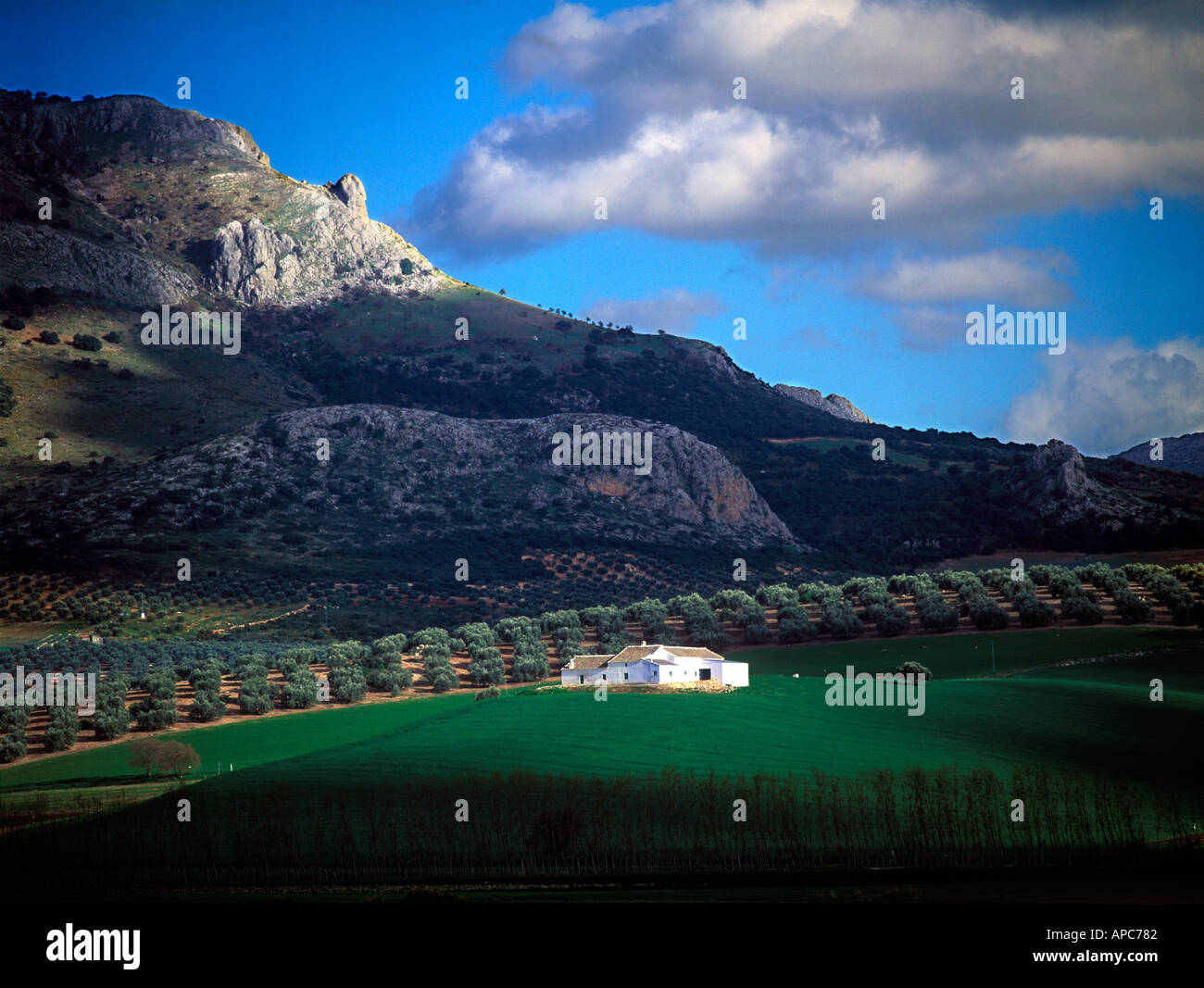 Finca maison de ferme sur hill montagnes en arrière-plan, près de grenade espagne andalousie Banque D'Images