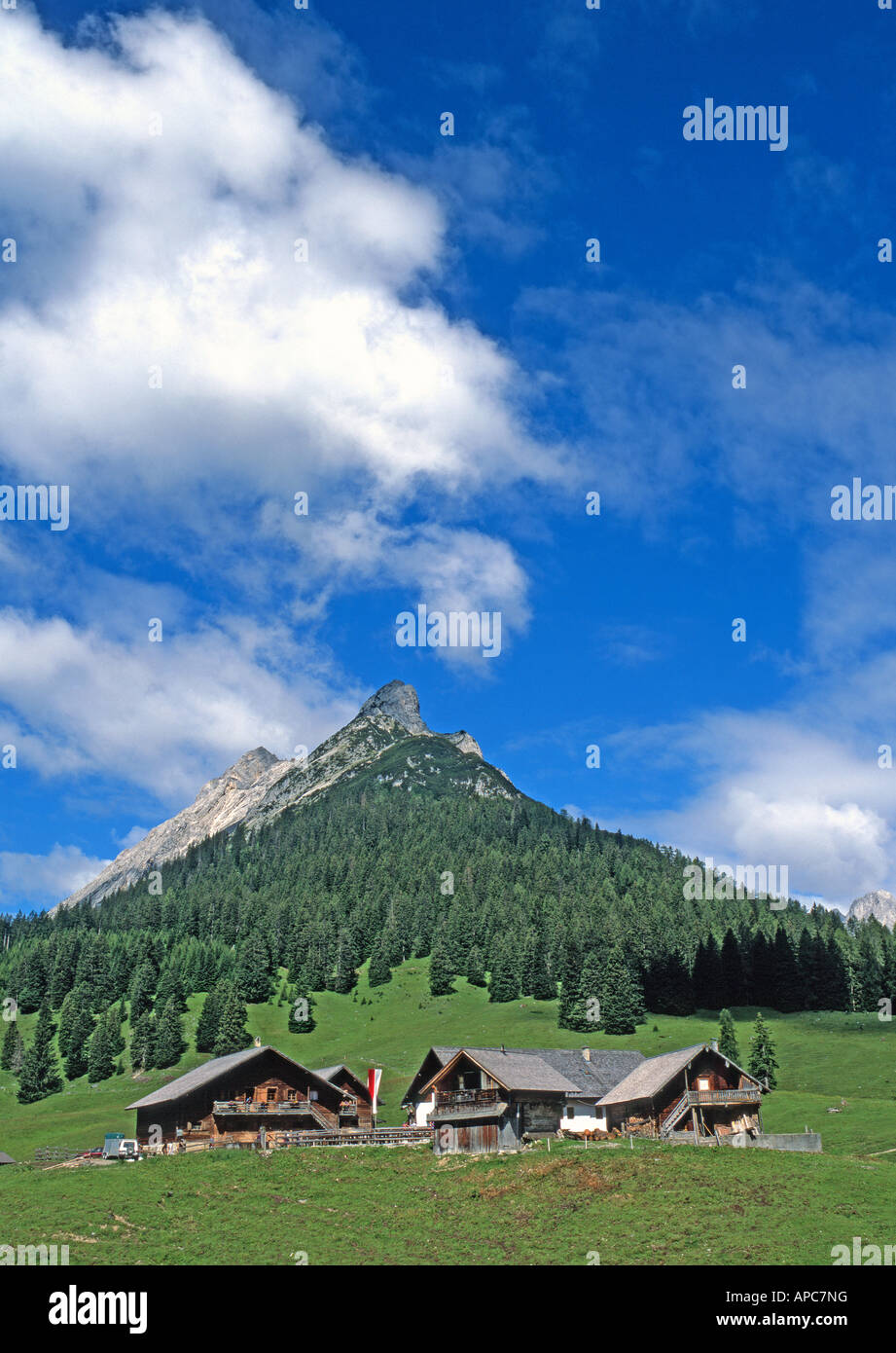 La ferme alpine traditionnelle avec les montagnes Alm Walder Walderkamp Spitze et Hundskopf dans l'arrière-plan Banque D'Images