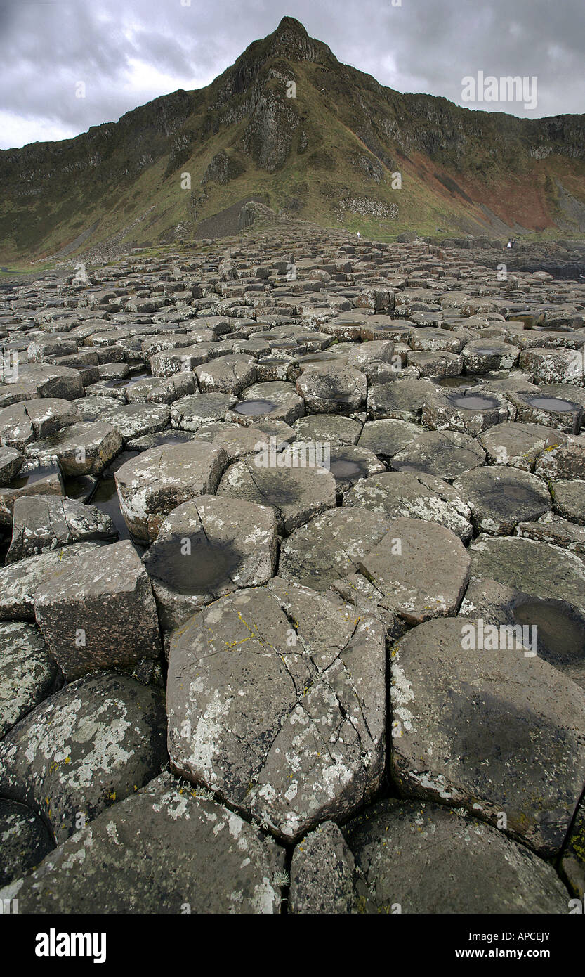 Le Giant's Causeway est une zone d'environ 40 000 colonnes de basalte d'enclenchement, le résultat d'une ancienne éruption volcanique. Il est situé dans le comté de Antri Banque D'Images