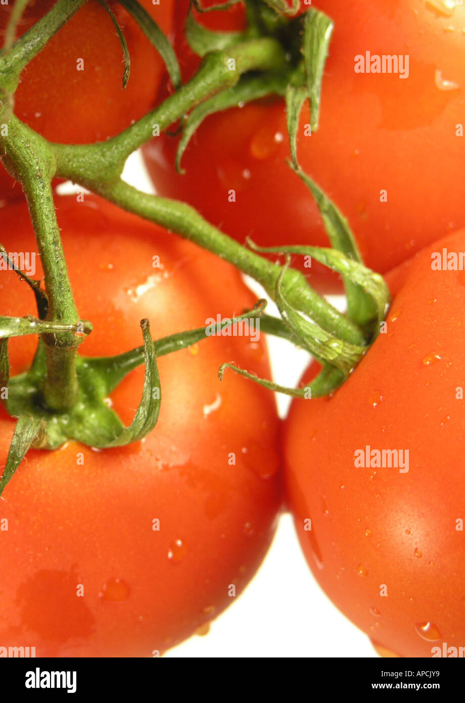 Les tomates de vigne 3 Banque D'Images