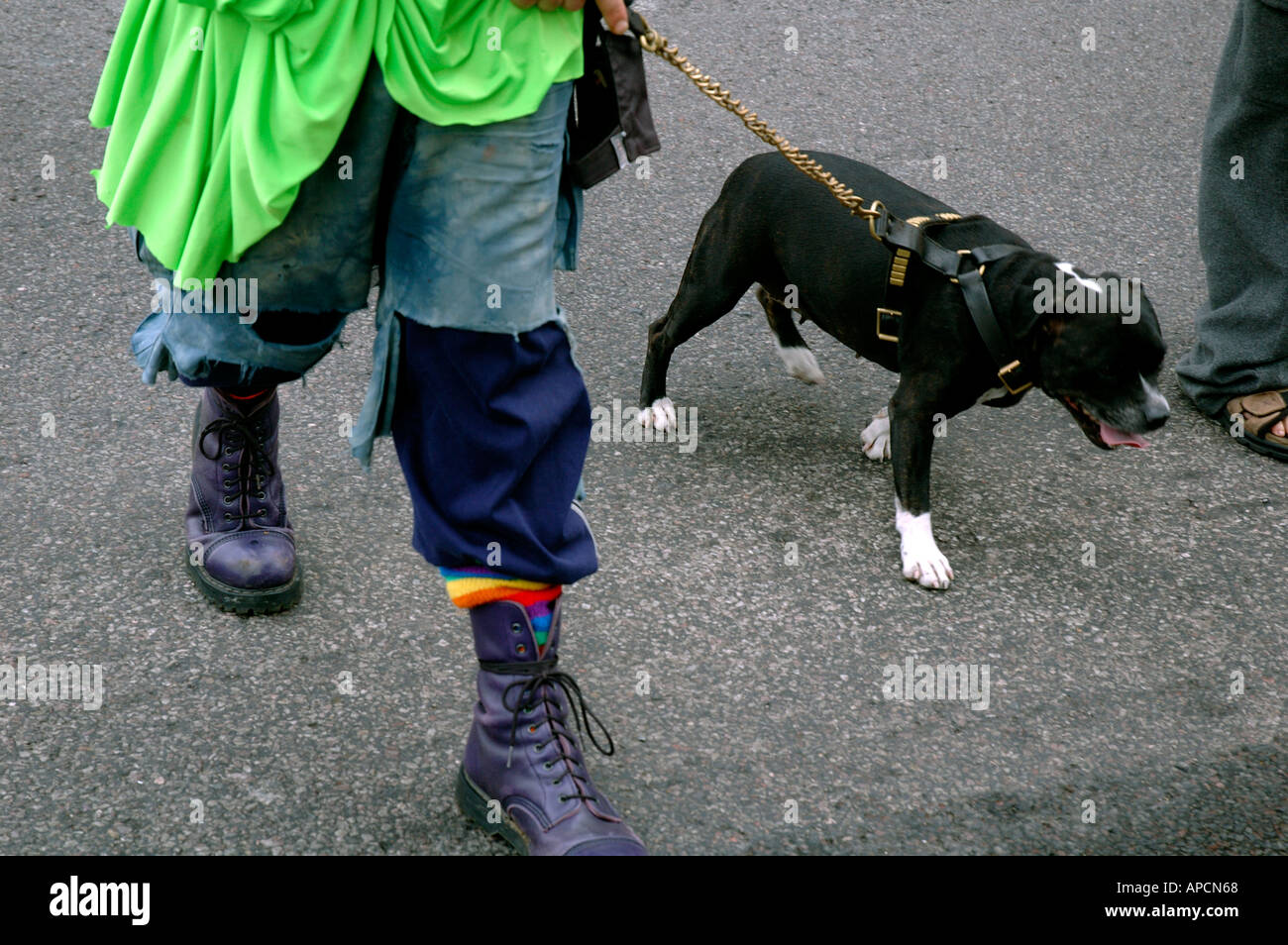 Avec l'homme, chien sur la chaîne laisse Banque D'Images