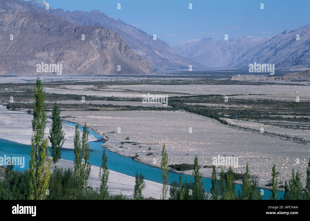 Fleuves Shyok river dans la vallée de Nubra Banque D'Images