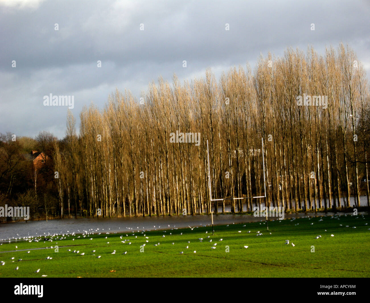 Terrain de rugby inondées Banque D'Images