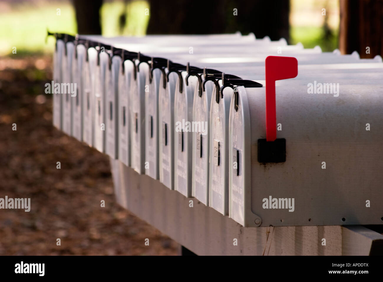 Longue rangée de boîtes aux lettres en métal avec un drapeau rouge soulevé Banque D'Images