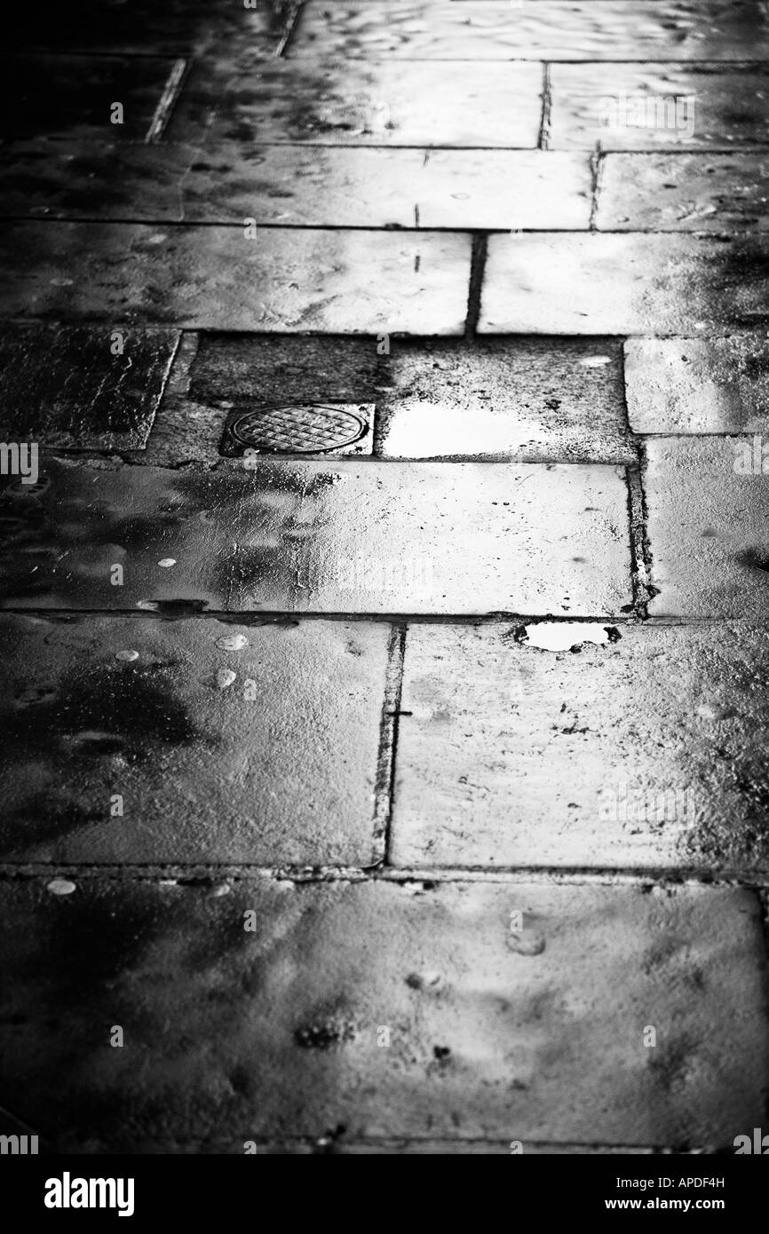 Les réflexions dans le trottoir par temps humide, Surrey, Angleterre. Banque D'Images