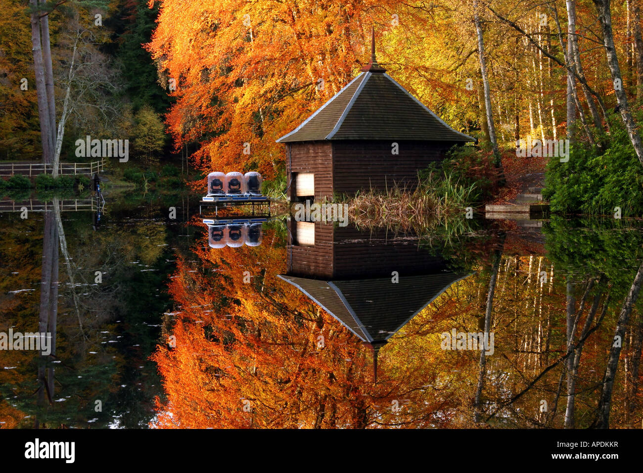 Couleurs d'automne dans le Loch Faskally bois reflète dans Dunmore Banque D'Images