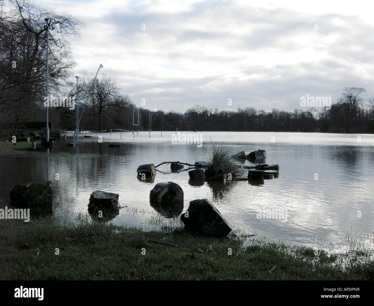 Terrains inondés Banque D'Images