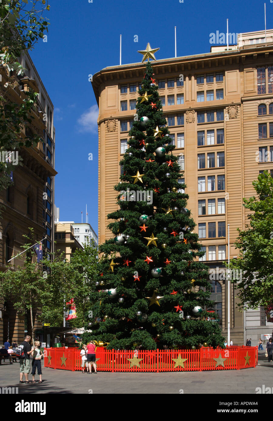 Annuel de grande taille fait arbre de Noël artificiel à Martin Place avec bleu ciel d'été au-delà, dans le centre de Sydney , Australie Banque D'Images