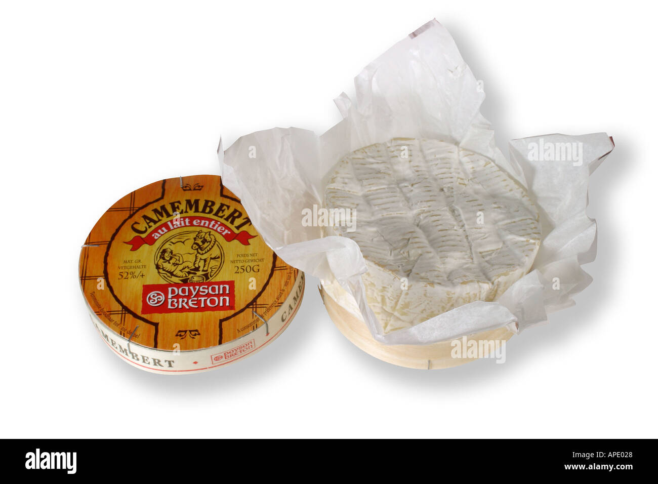 Petit camembert à boîte ouverte et non coupé sur fond blanc Banque D'Images