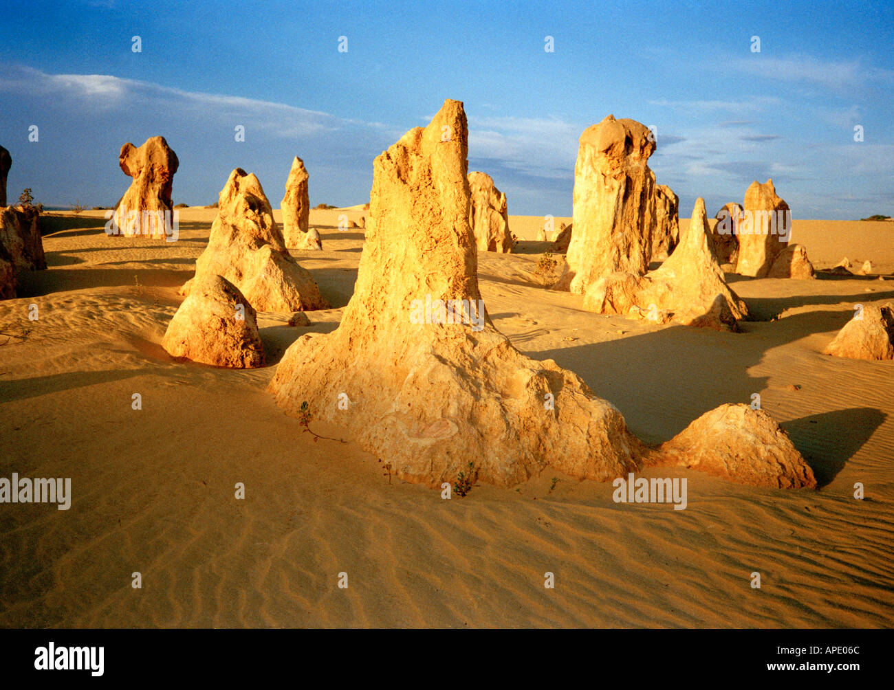 L'Australie, l'Australie occidentale, le Parc National de Nambung, Le Désert des Pinnacles, Rock Formations Banque D'Images