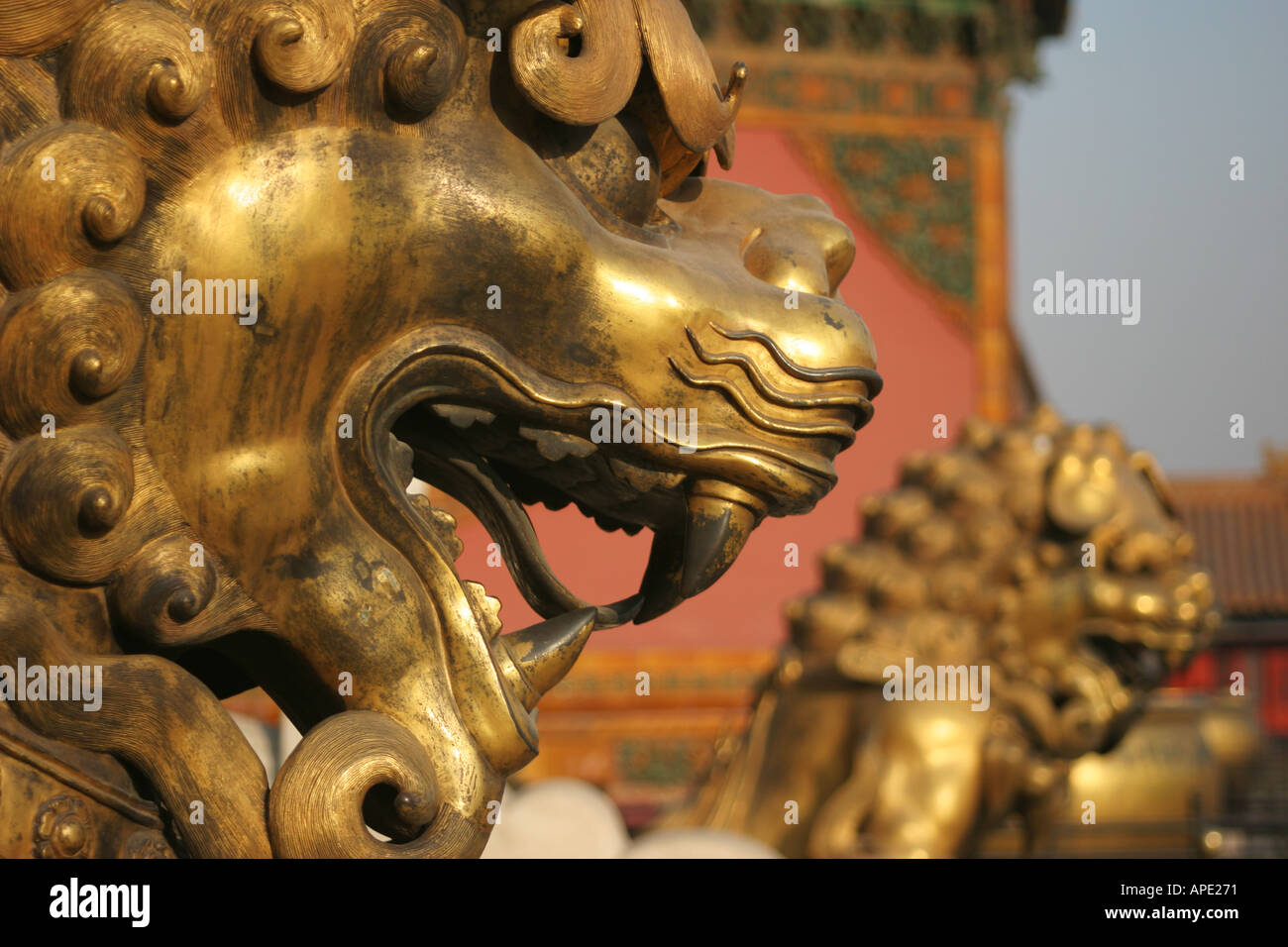 Dragon d'or des statues dans la Forbidden City Beijing Banque D'Images