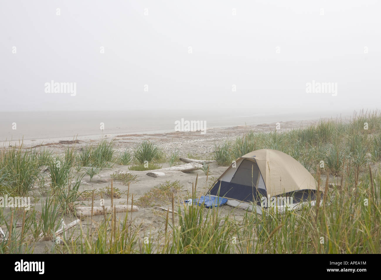 Une tente est assis dans les dunes de la plage. Banque D'Images