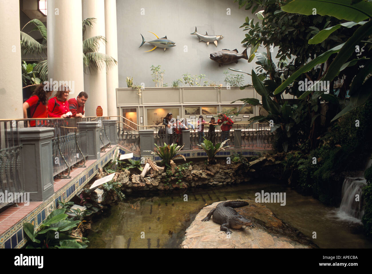 Les enseignants et les élèves de la pièce Alligator Pond Academy of Sciences Golden gat e Park San Francisco California Banque D'Images