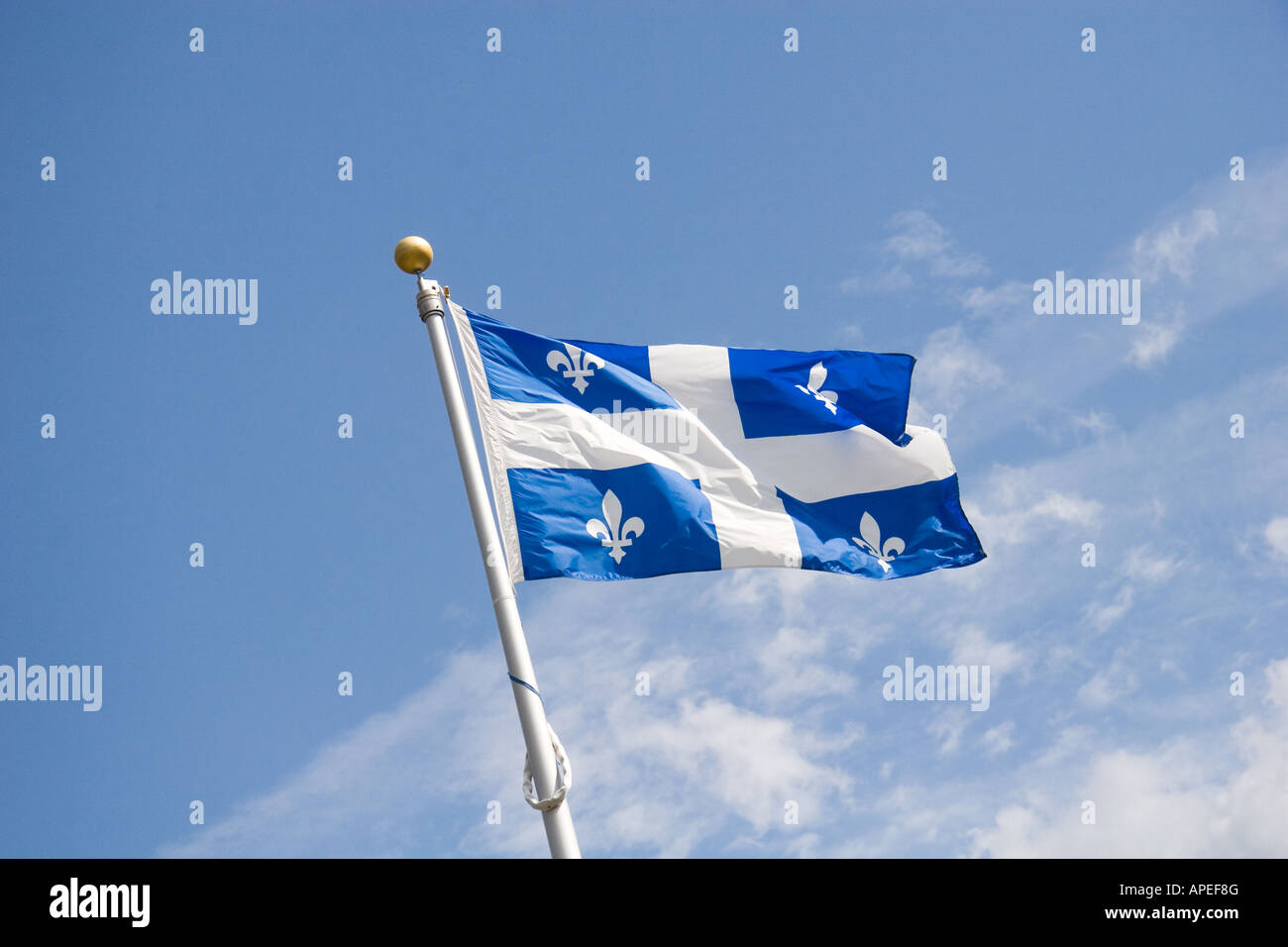 Drapeaux fleur de lys Banque de photographies et d’images à haute