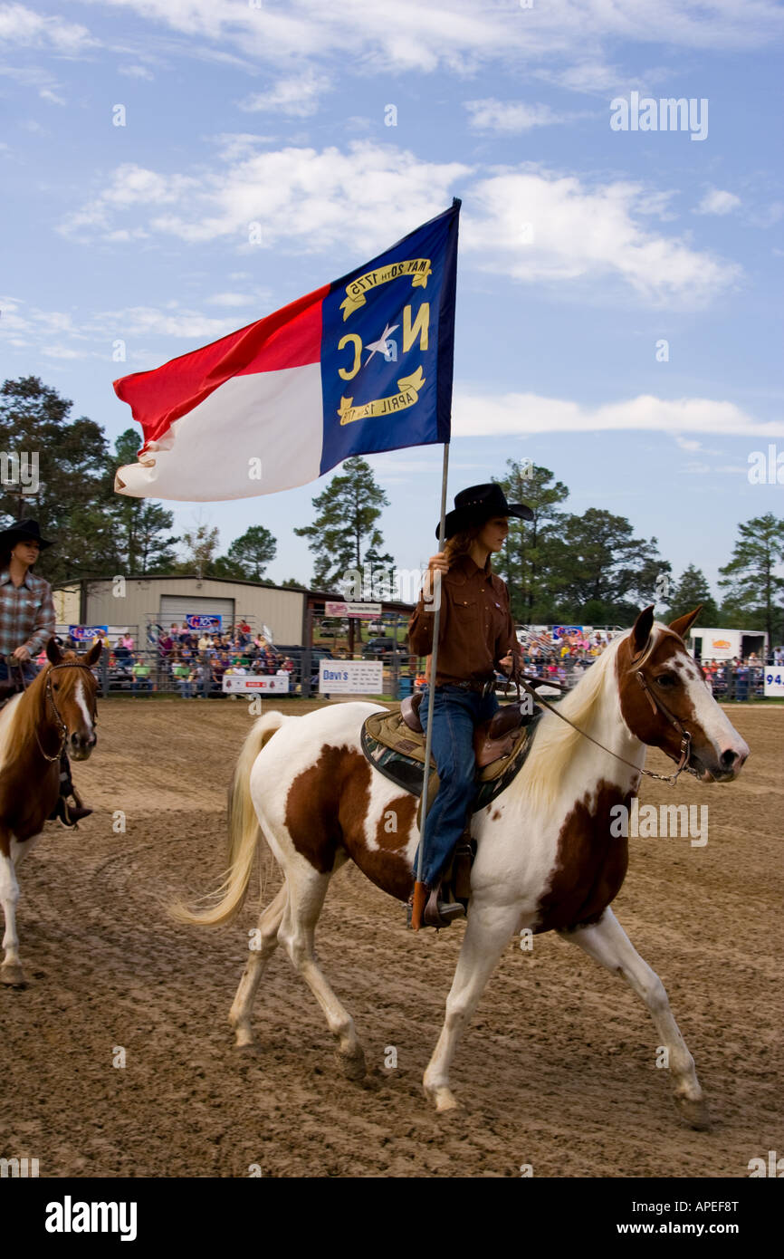 AUTOCOLLANT DRAPEAU CHEVAL Ford Mustang Logo 3D Insigne Centre Roue 4