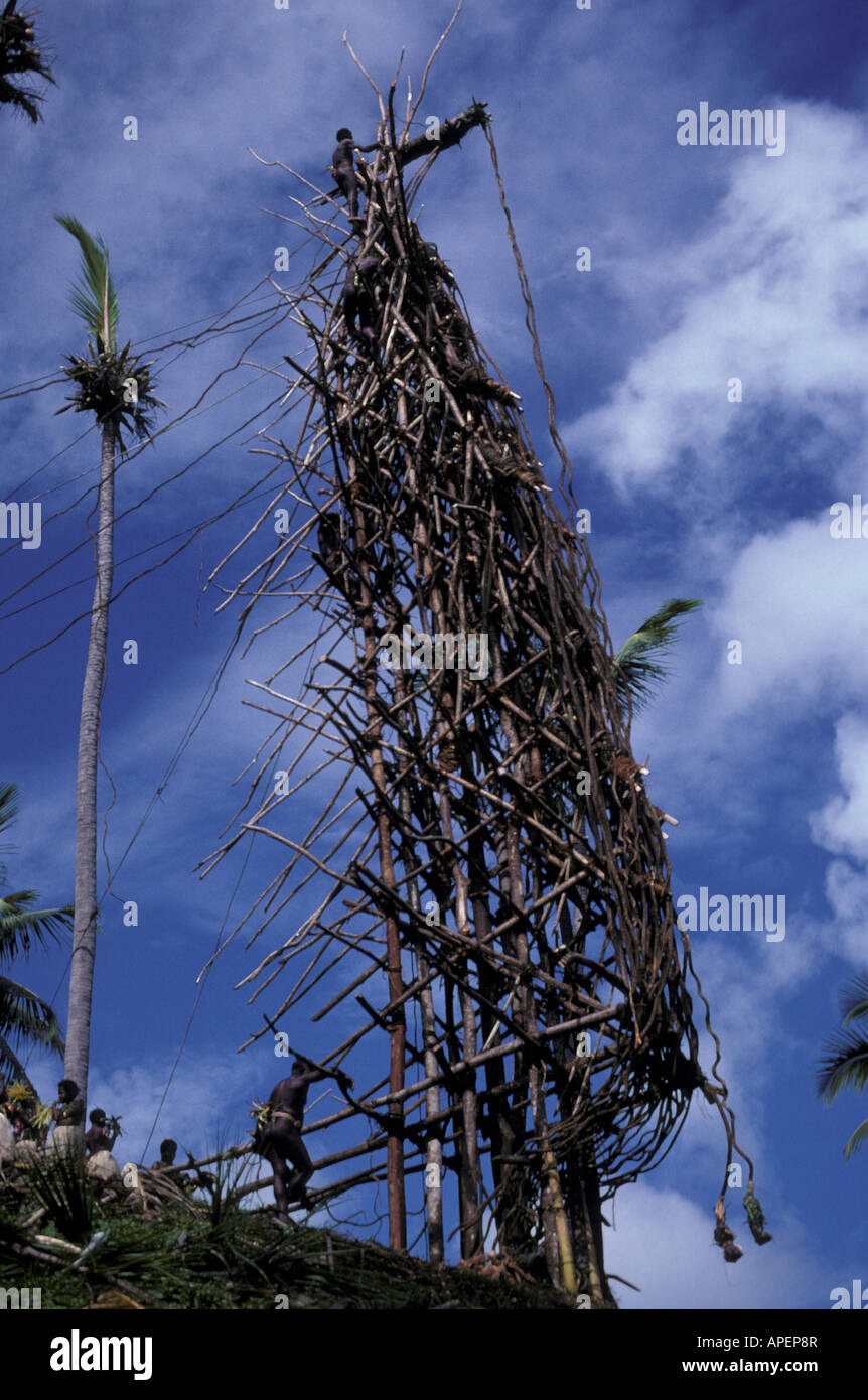 Océan Pacifique, Vanuatu, l'île de Pentecôte, de sauter sur l'île natale, l'exécution de la Pentecôte ou plongée traditionnelle des terres n'gol Banque D'Images