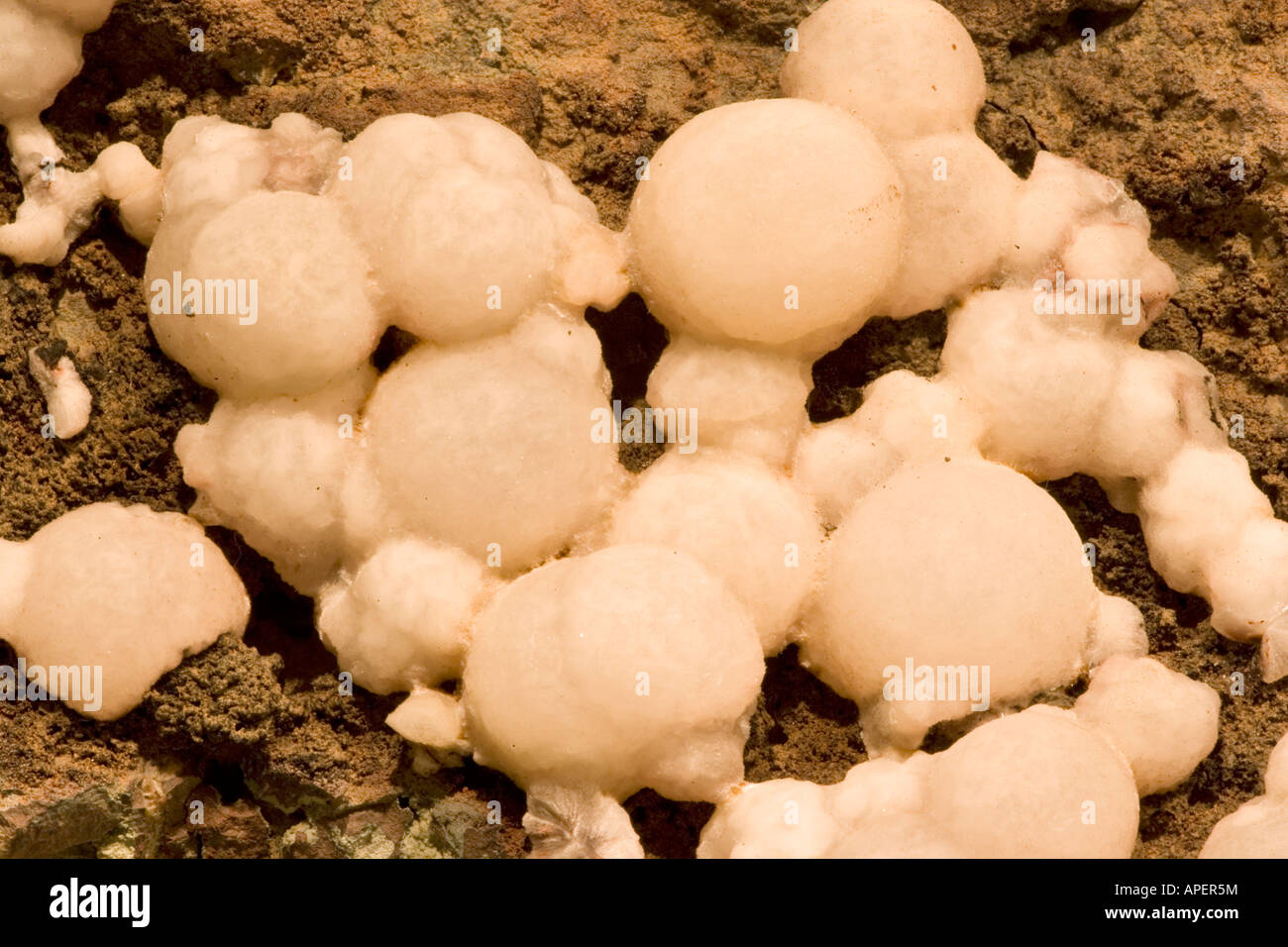 Spécimen minéral Thomsonite Close-up - Aurangabad - Inde Banque D'Images
