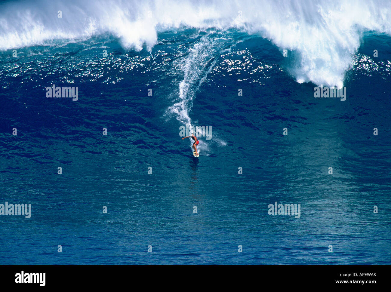 Big Wave Surf à l'aide de jet skis, Maui, Jaws wave Banque D'Images