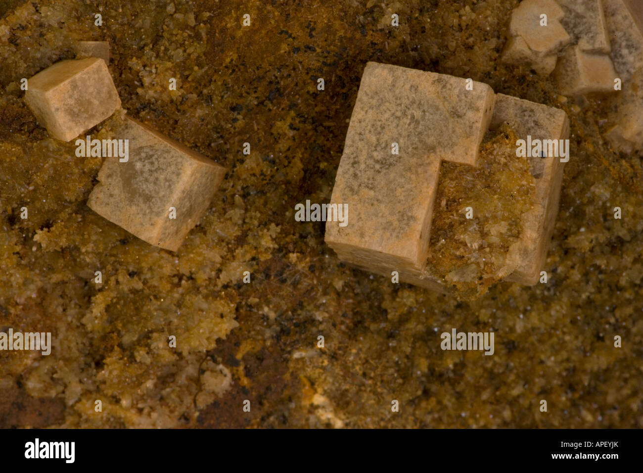 Spécimen minéral Fluorite - Mustang Mountain - Esmeralda Comté -NEVADA USA Banque D'Images
