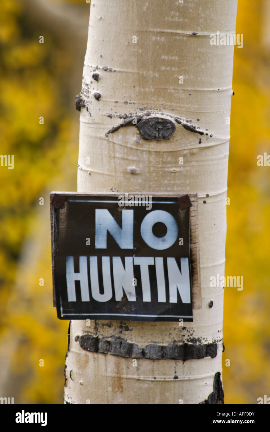 Pas de chasse ancien signe sur Tremble Ouray Colorado Comté Banque D'Images