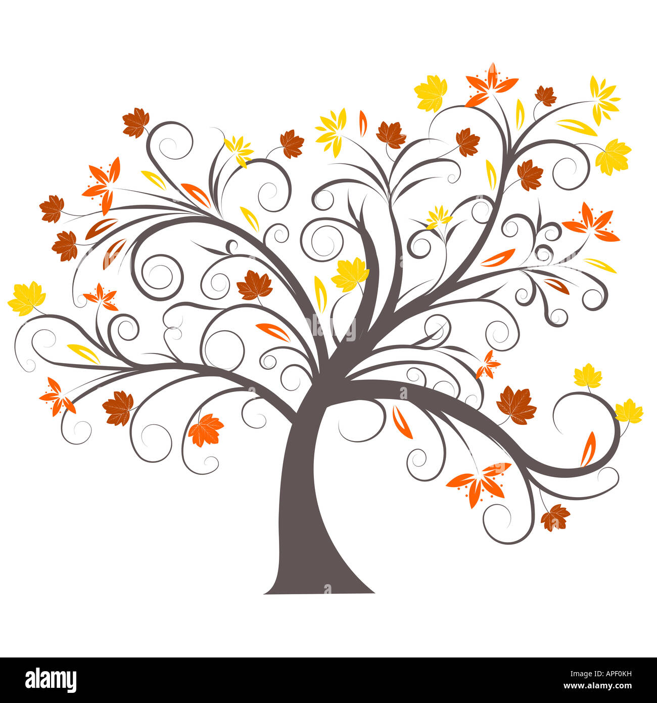 Belle conception de l'arbre d'automne vecteur Banque D'Images