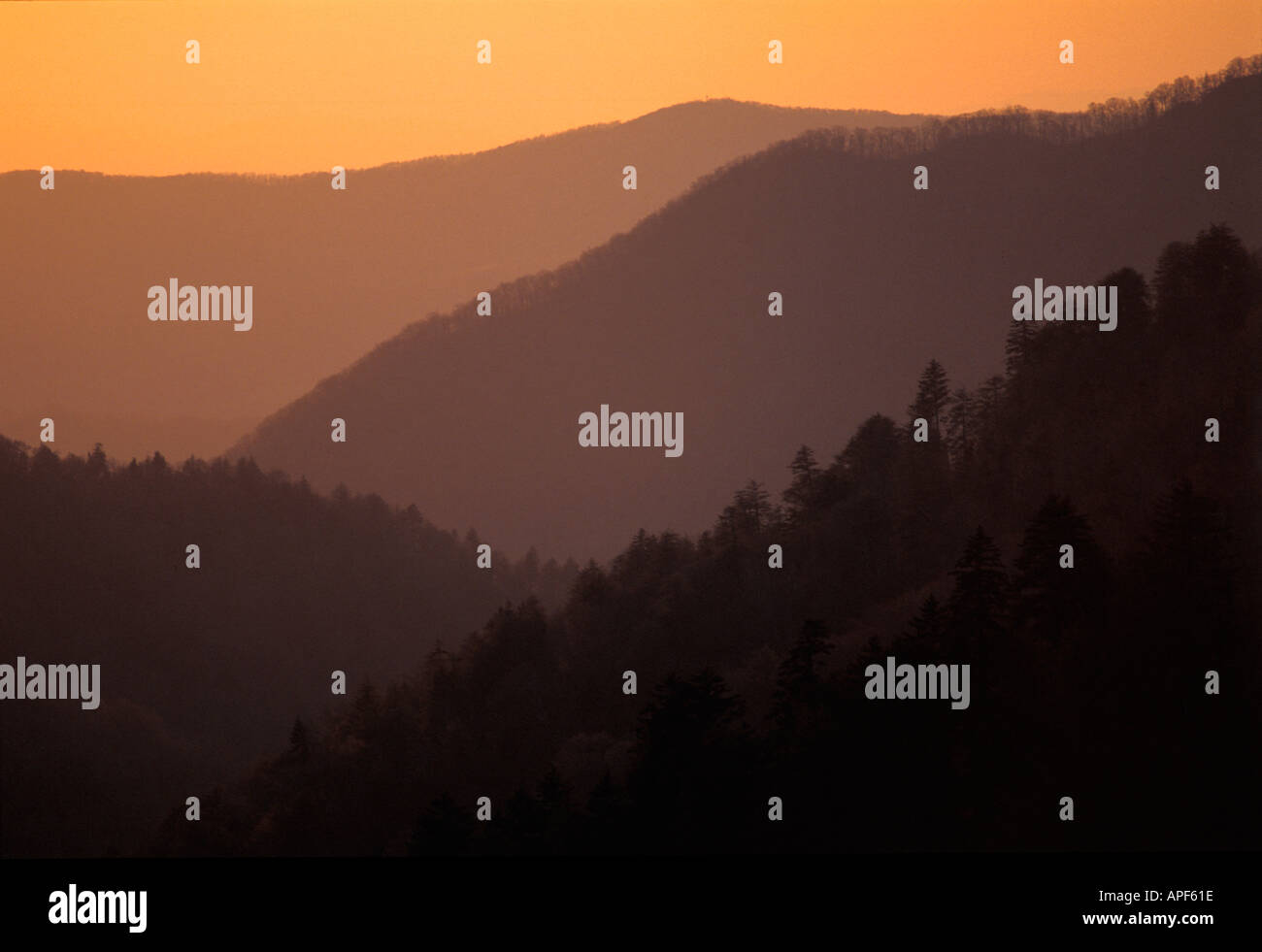 Les lignes de crête de montagne au crépuscule sur Great Smoky Mountains National Park Utah Gatlingburg Banque D'Images
