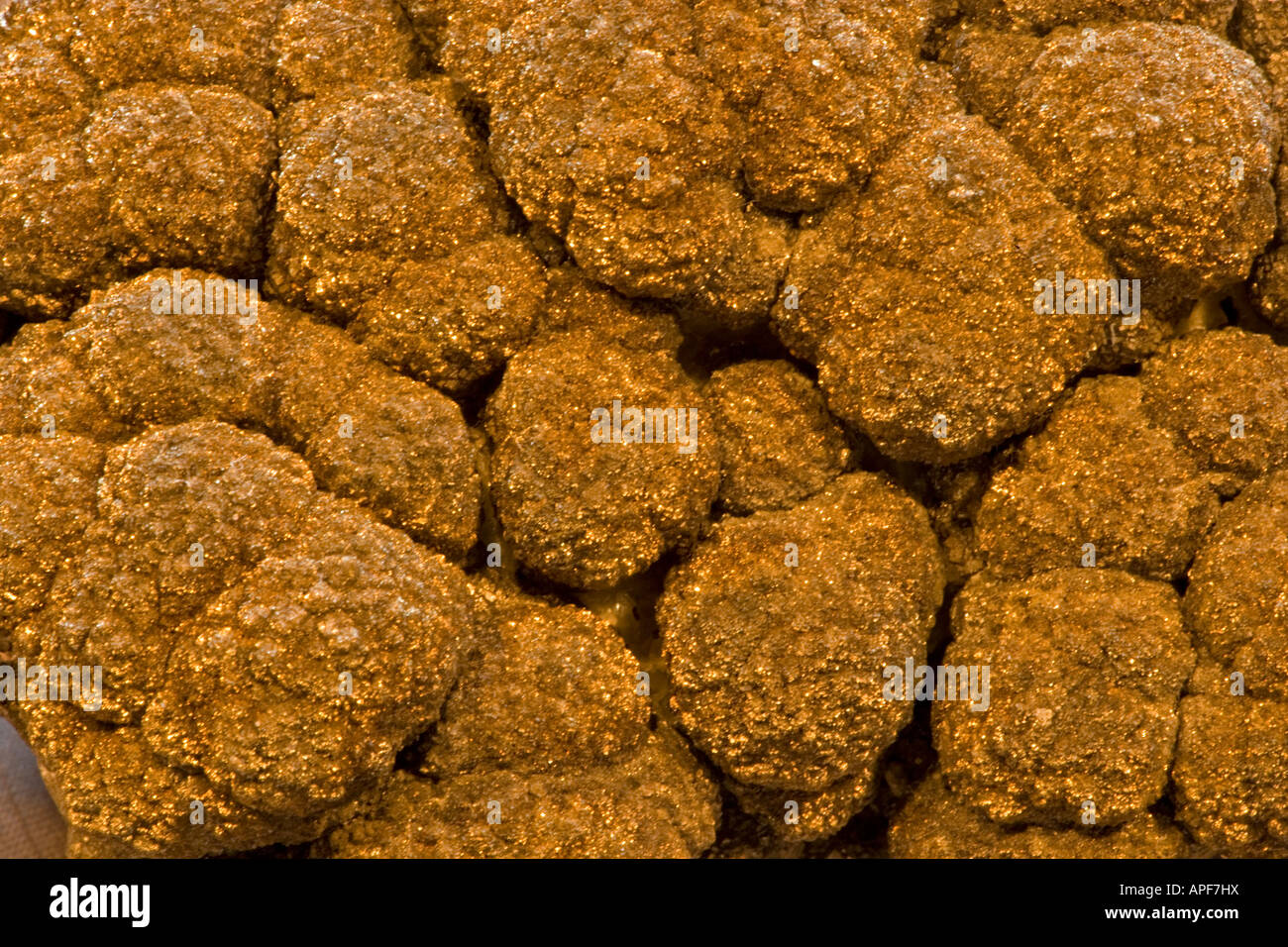 La marcassite minéral Modèle Close-up - Kursk - Russie Banque D'Images