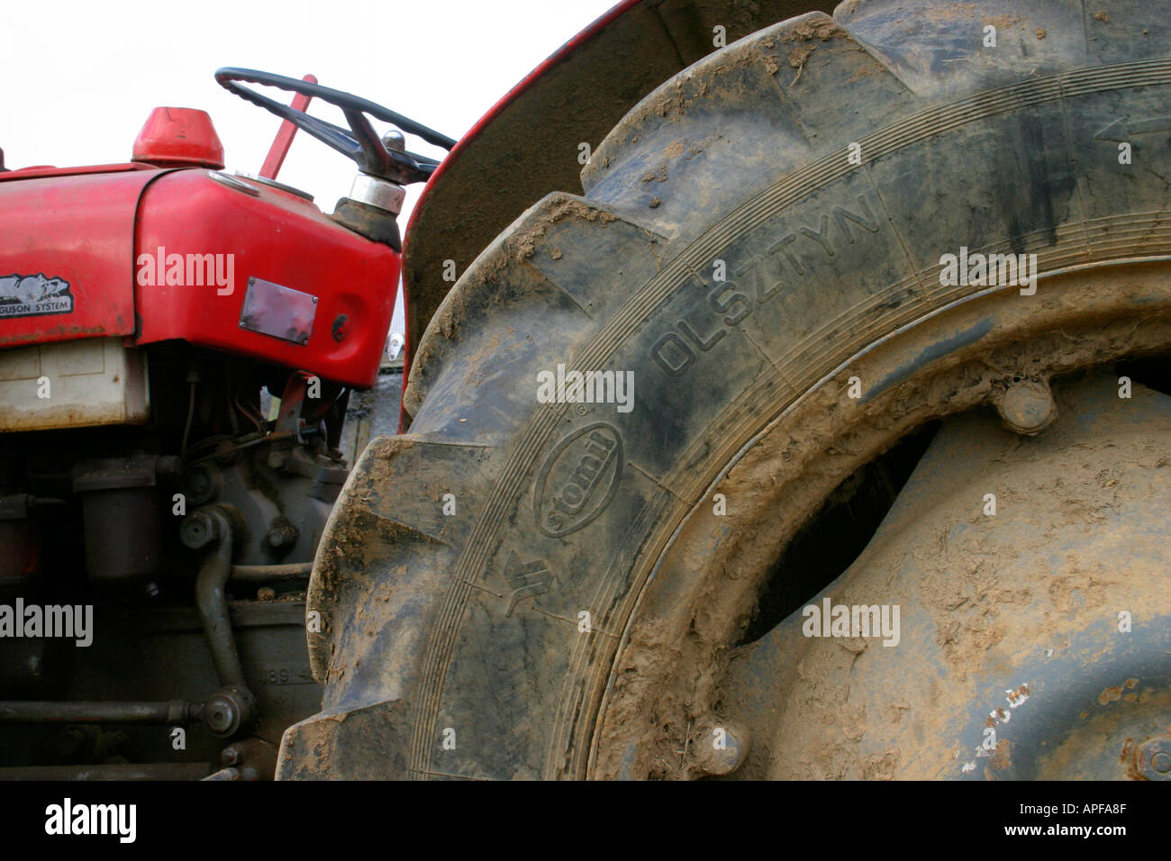 Vieux tracteur Massey Ferguson Banque D'Images