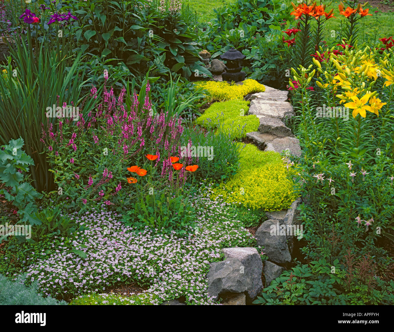 WA Vashon Island un lit de jardin rempli de fleurs et de couverture du sol en fleur au début de l'été Banque D'Images WA Vashon Island un lit de jardin rempli de fleurs et de couverture du sol en fleur au début de l'été Banque D'Images