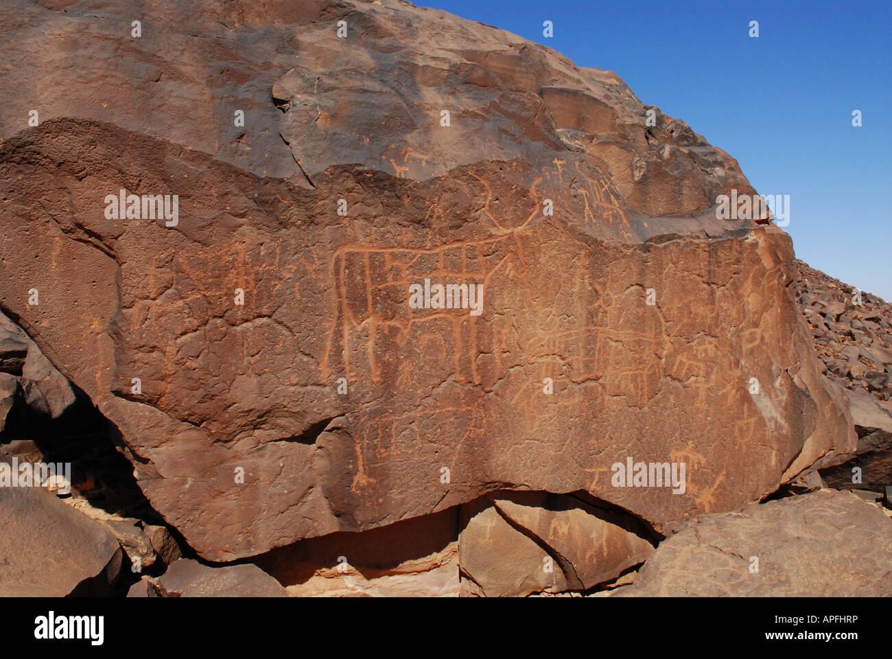 Afrique Petroglyphs Banque D'Images