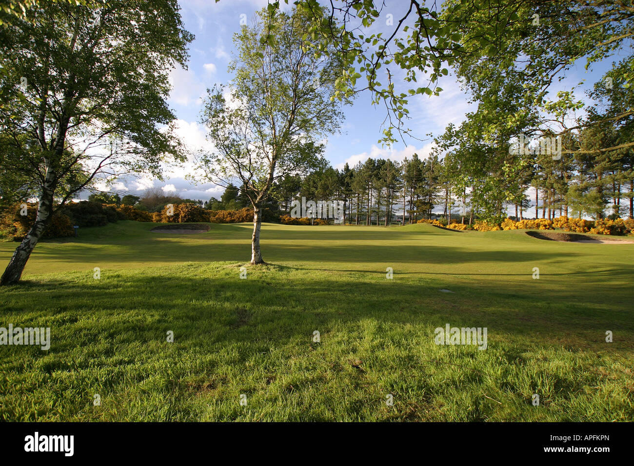 Le Buddon Links 7ème trous ecosse Carnoustie Golf Links Banque D'Images