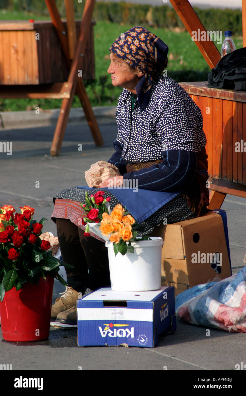 Gitane à Zagreb Croatie vente de fleurs Banque D'Images