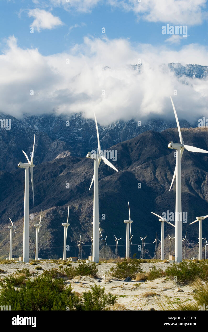 Ferme éolienne dans le désert près de Palm Springs en Californie Banque D'Images